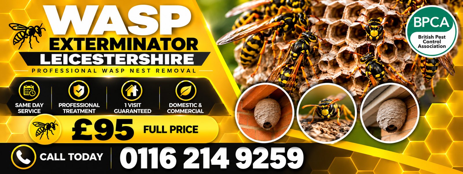 Wasp Exterminator Leicestershire, professional wasp nest removal, same day service, £95 full price, call 0116 214 9259